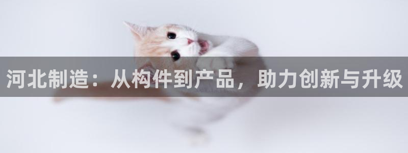 云顶国际地产：河北制造：从构件到产品，助力创新与升级