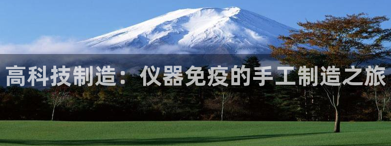 云顶集团有限公司招聘：高科技制造：仪器免疫的手工制造之旅