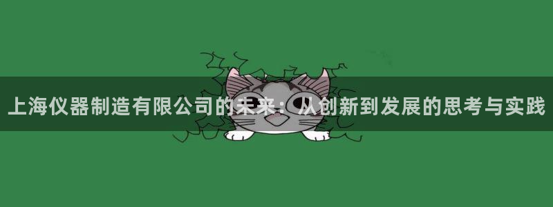 云顶国际官网app下载苹果：上海仪器制造有限公司的未来：从创