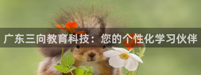 云顶国际酒店几星级的：广东三向教育科技：您的个性化学习伙伴