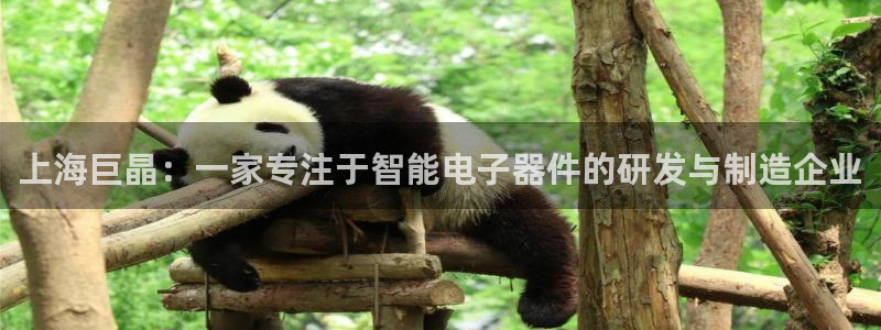 云顶国际是黑台吗：上海巨晶：一家专注于智能电子器件的研发与制