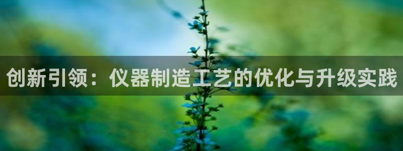 云顶国际在线登录不了：创新引领：仪器制造工艺的优化与升级实践