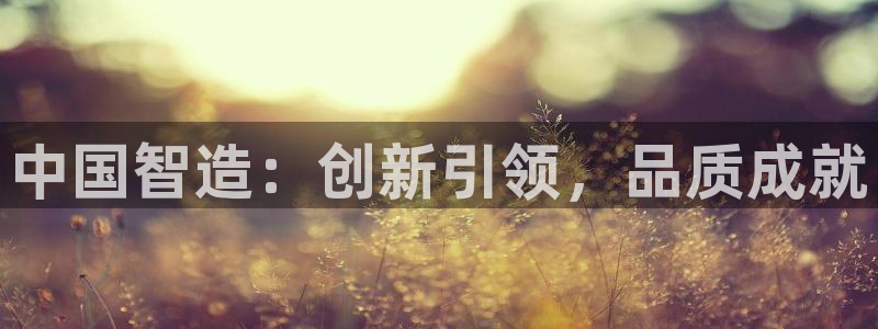 云顶yy：中国智造：创新引领，品质成就