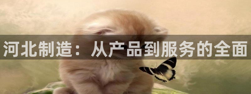 云顶国际会所在哪里：河北制造：从产品到服务的全面