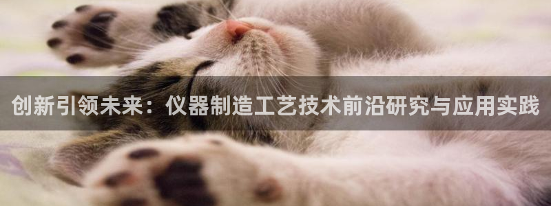 云顶国际宴会中心：创新引领未来：仪器制造工艺技术前沿研究与应