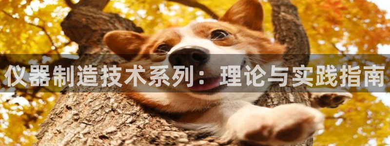 云顶集团app下载官网老版本：仪器制造技术系列：理论与实践指