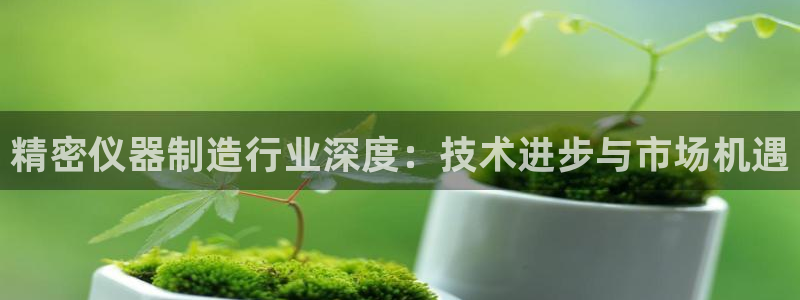 云顶集团王天才简介：精密仪器制造行业深度：技术进步与市场机遇
