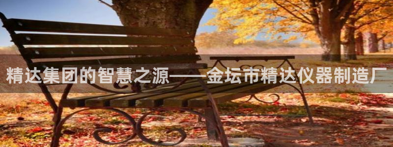 云顶国际商业广场A座101：精达集团的智慧之源——金坛市精达