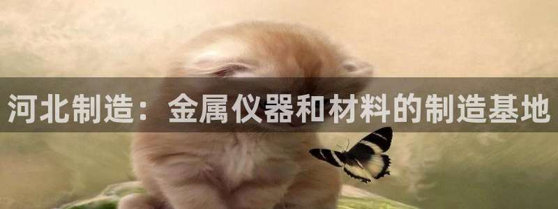 云顶国际晟荣协会荣誉奖项：河北制造：金属仪器和材料的制造基地