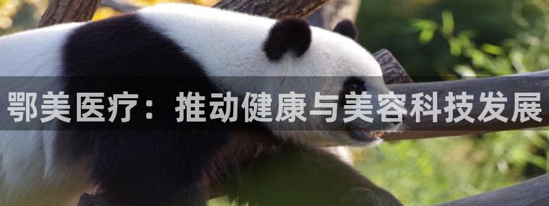 云顶国际是不是真的吗：鄂美医疗：推动健康与美容科技发展