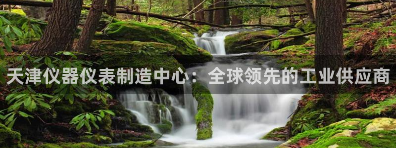 云顶国际服自定义：天津仪器仪表制造中心：全球领先的工业供应商