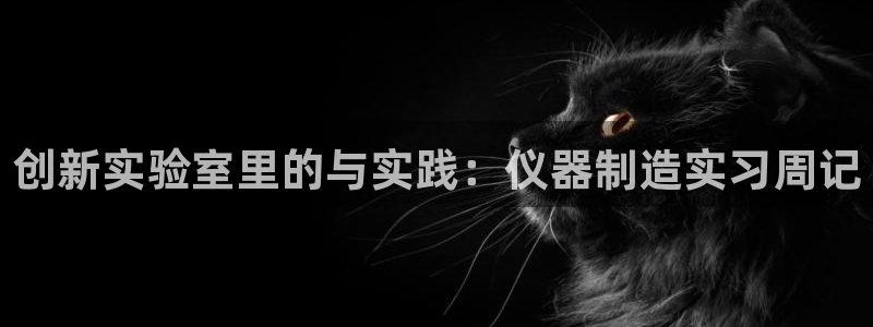 云顶国际A405：创新实验室里的与实践：仪器制造实习周记