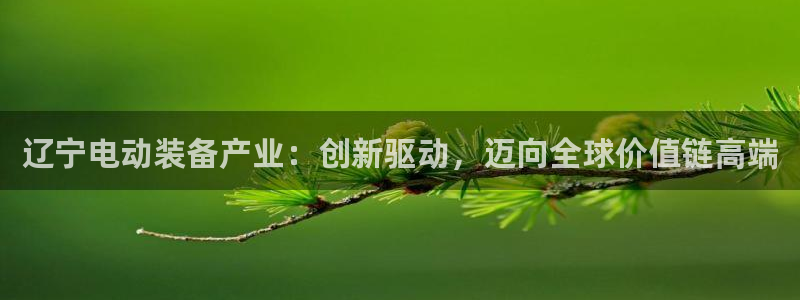 云顶国际服什么时候更新：辽宁电动装备产业：创新驱动，迈向全球