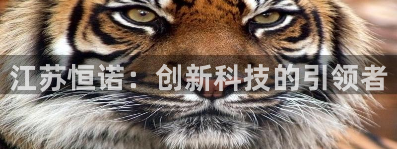 云顶国际公馆多少层楼：江苏恒诺：创新科技的引领者