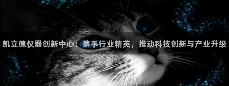 云顶集团专属APP9.0：凯立德仪器创新中心：携手行业精英，