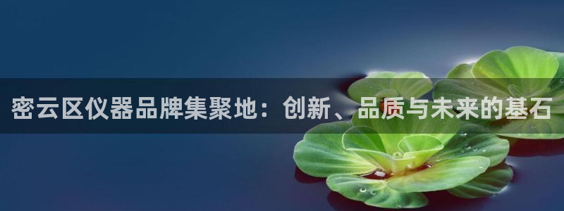 云顶国际晟荣协会高峰：密云区仪器品牌集聚地：创新、品质与未来