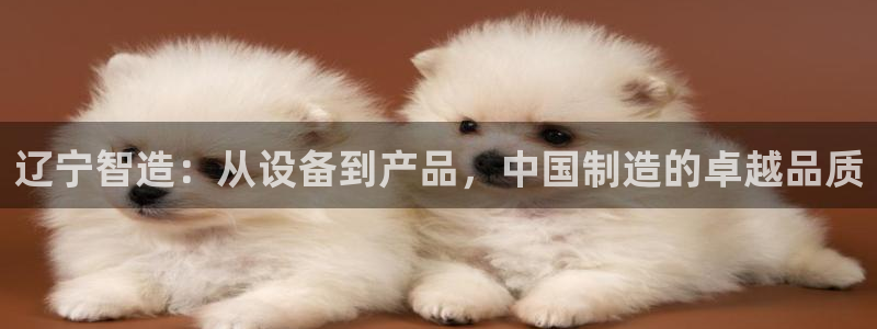 云顶国际城手机网址：辽宁智造：从设备到产品，中国制造的卓越品