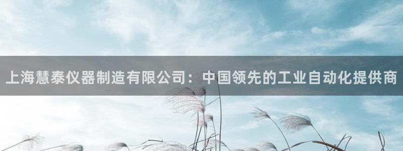 云顶集团网投领头：上海慧泰仪器制造有限公司：中国领先的工业自
