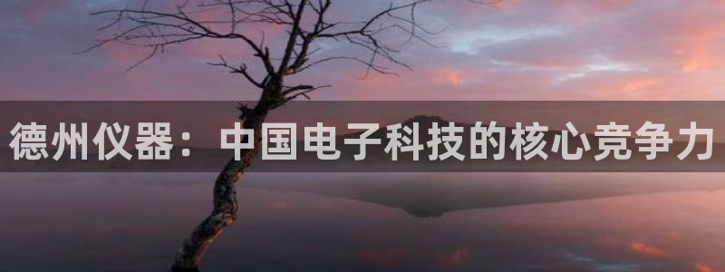 云顶国际唯一官网：德州仪器：中国电子科技的核心竞争力