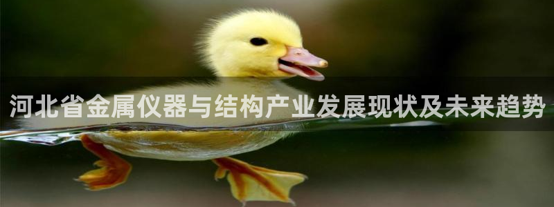 淮北云顶国际雷刚：河北省金属仪器与结构产业发展现状及未来趋势