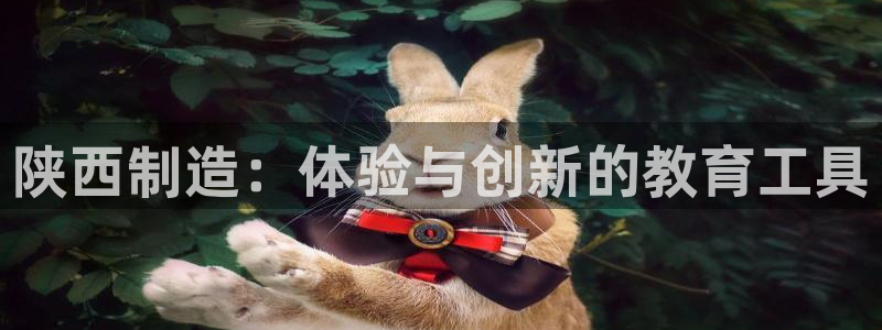 云顶2020：陕西制造：体验与创新的教育工具