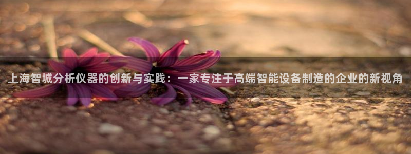 云顶国际会所是干嘛的地方啊：上海智城分析仪器的创新与实践：一