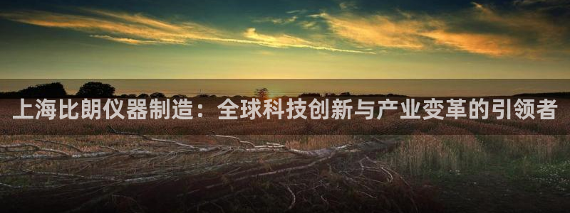 云顶国际是个什么平台游戏：上海比朗仪器制造：全球科技创新与产