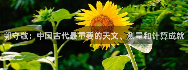 云顶集团网投：郭守敬：中国古代最重要的天文、测量和计算成就