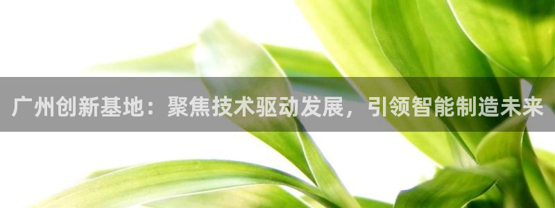 云顶游戏网站网址：广州创新基地：聚焦技术驱动发展，引领智能制