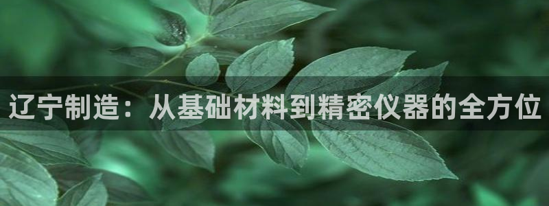 云顶国际提现不到账怎么回事：辽宁制造：从基础材料到精密仪器的