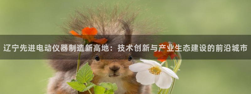 云顶国际俱乐部是干嘛的：辽宁先进电动仪器制造新高地：技术创新