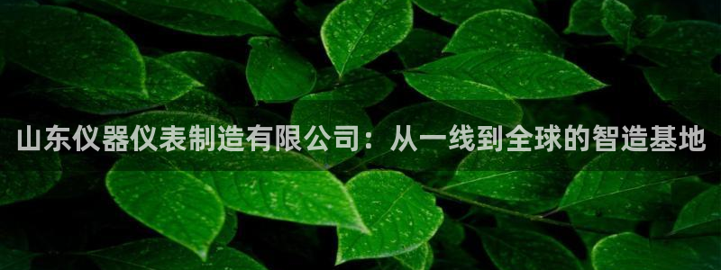 云顶国际平台违法吗?：山东仪器仪表制造有限公司：从一线到全球
