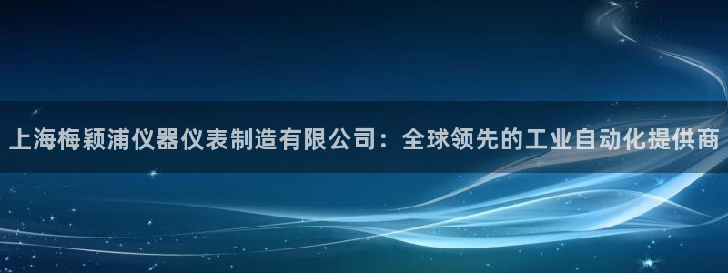 云顶国际麻将胡了：上海梅颖浦仪器仪表制造有限公司：全球领先的