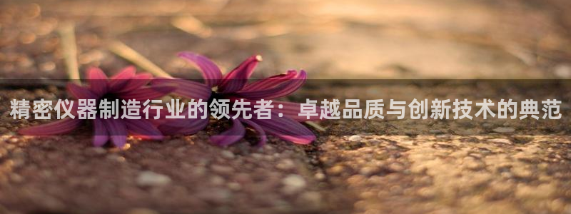 云顶国际商务会所电话：精密仪器制造行业的领先者：卓越品质与创