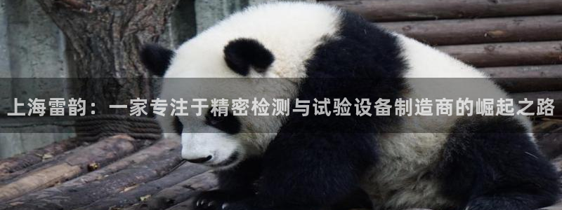 云顶国际服名字不可用：上海雷韵：一家专注于精密检测与试验设备