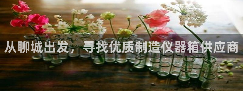 云顶国际二手房：从聊城出发，寻找优质制造仪器箱供应商
