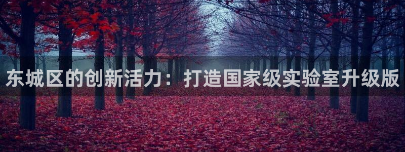 云顶集团官网电话号码：东城区的创新活力：打造国家级实验室升级