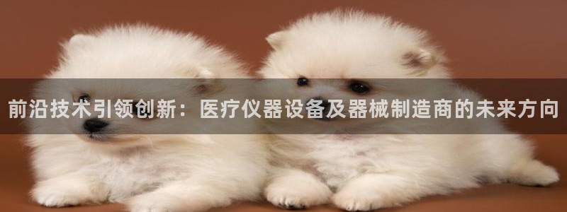 云顶国际测试服免费领取