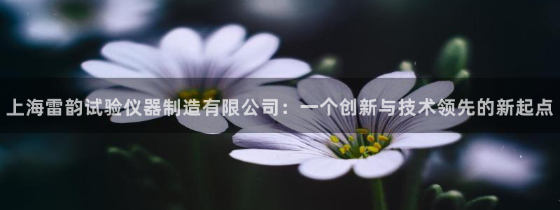云顶集团市值：上海雷韵试验仪器制造有限公司：一个创新与技术领