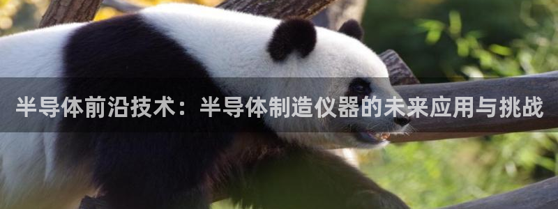 yd11000云顶：半导体前沿技术：半导体制造仪器的未来应用
