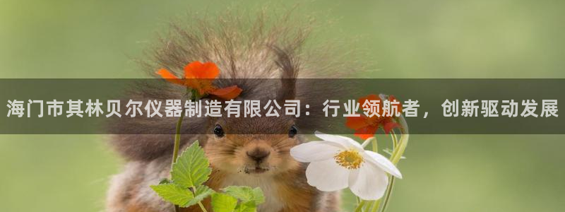 云顶国际北大街：海门市其林贝尔仪器制造有限公司：行业领航者，