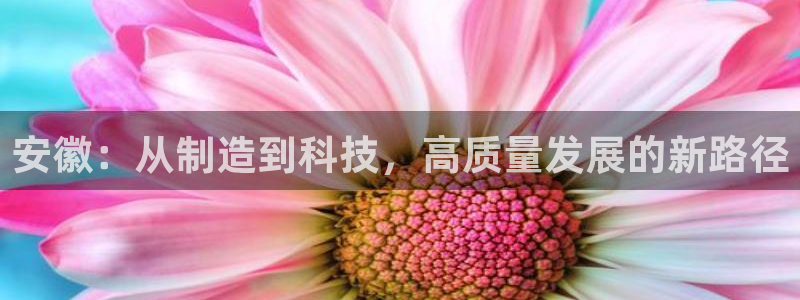云顶集团游戏app8293：安徽：从制造到科技，高质量发展的