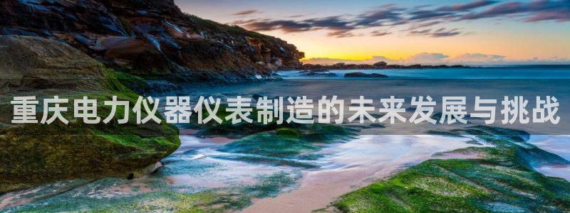 云顶国际部一年学费：重庆电力仪器仪表制造的未来发展与挑战