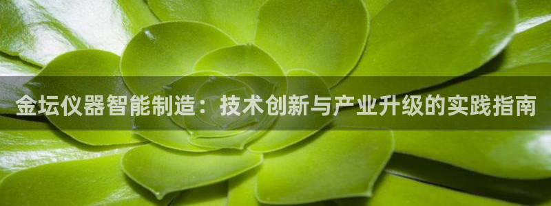 云顶国际服什么时候更新s11：金坛仪器智能制造：技术创新与产