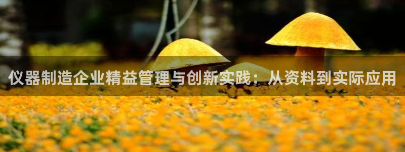 云顶国际前台电话号码：仪器制造企业精益管理与创新实践：从资料