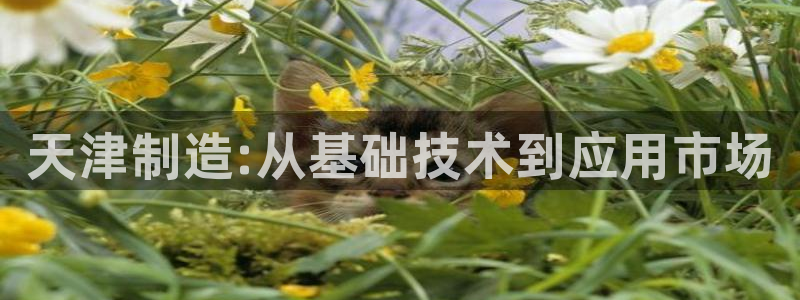 云顶国际创始人是谁：天津制造:从基础技术到应用市场