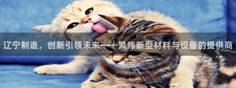 云顶集团注册送28：辽宁制造，创新引领未来——聚焦新型材料与