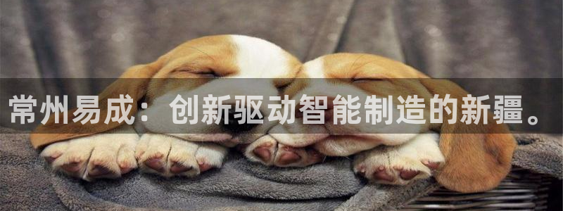 云顶国际公馆是公寓吗多少钱：常州易成：创新驱动智能制造的新疆