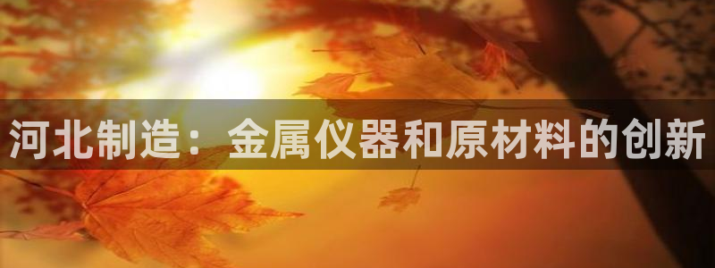 云顶国际网站是多少：河北制造：金属仪器和原材料的创新