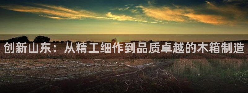 云顶国际大厦在哪里：创新山东：从精工细作到品质卓越的木箱制造